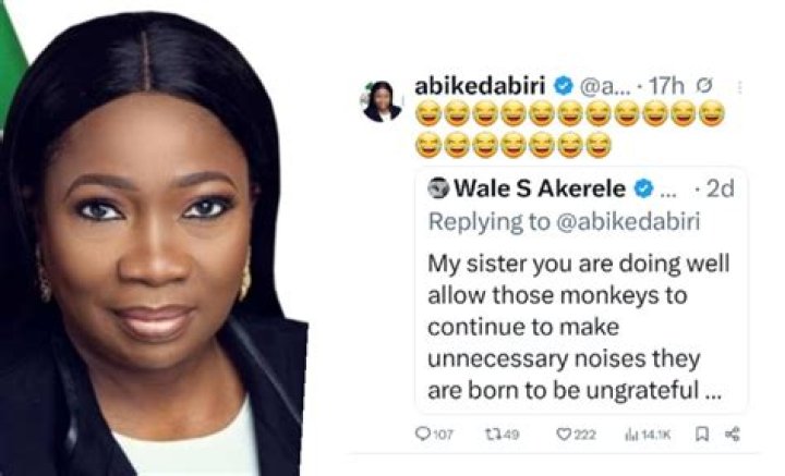 Abike Dabiri Erewa’s Boyfriend: Who is Abike Dabiri Erewa Dating?