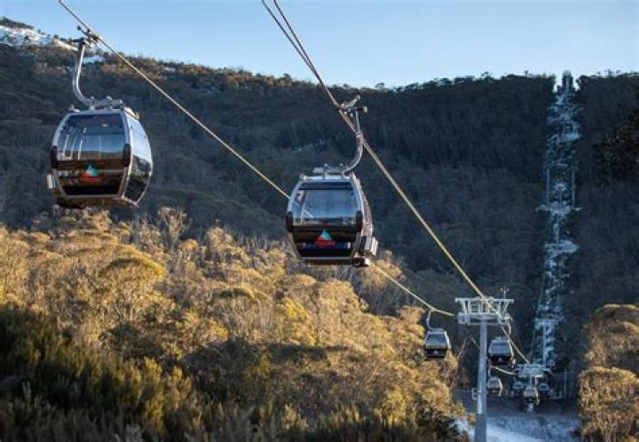 Drew Merritt’s Girlfriend: Who is Drew Merritt Dating?