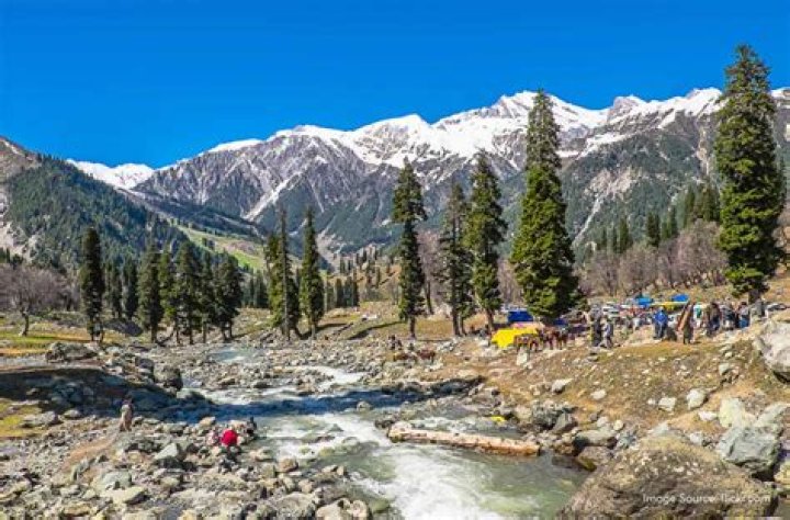 Kashmir Hill’s Boyfriend: Who is Kashmir Hill Dating?