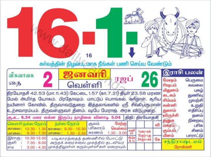 Matu Fuschloches’s Girlfriend: Who is Matu Fuschloches Dating?