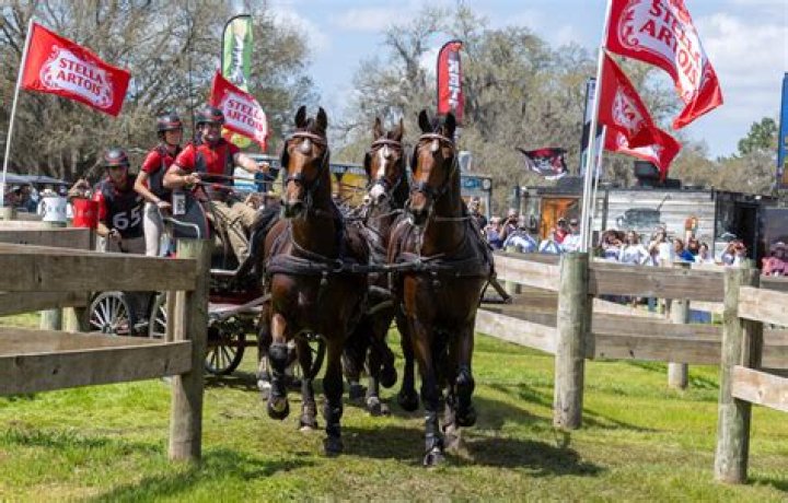 Shea Weber’s Wife: Who is Shea Weber Dating?