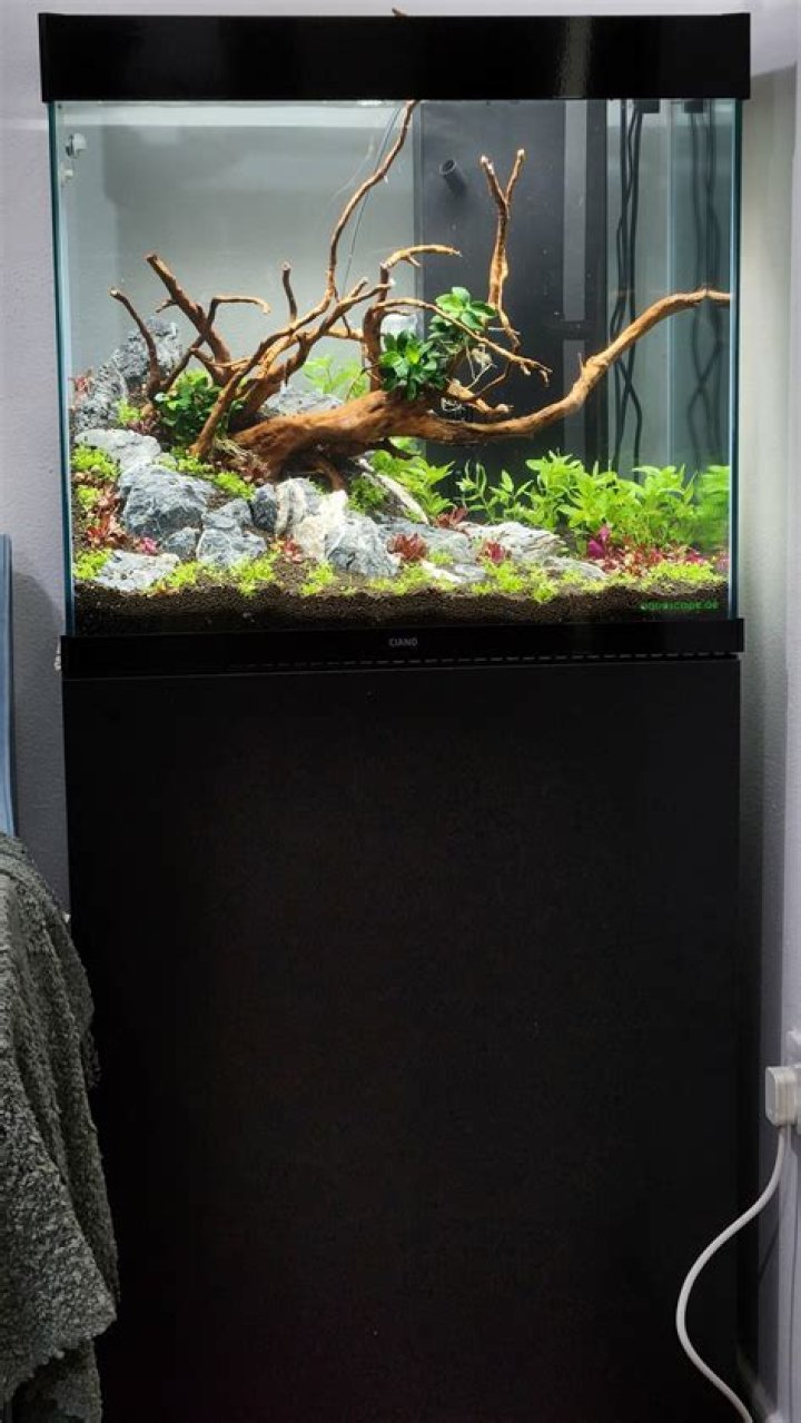 The Ready Set’s Girlfriend: Who is The Ready Set Dating?