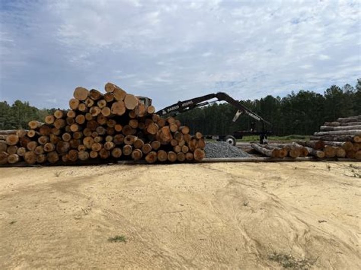 Wesley Woodyard’s Wife: Who is Wesley Woodyard Dating?